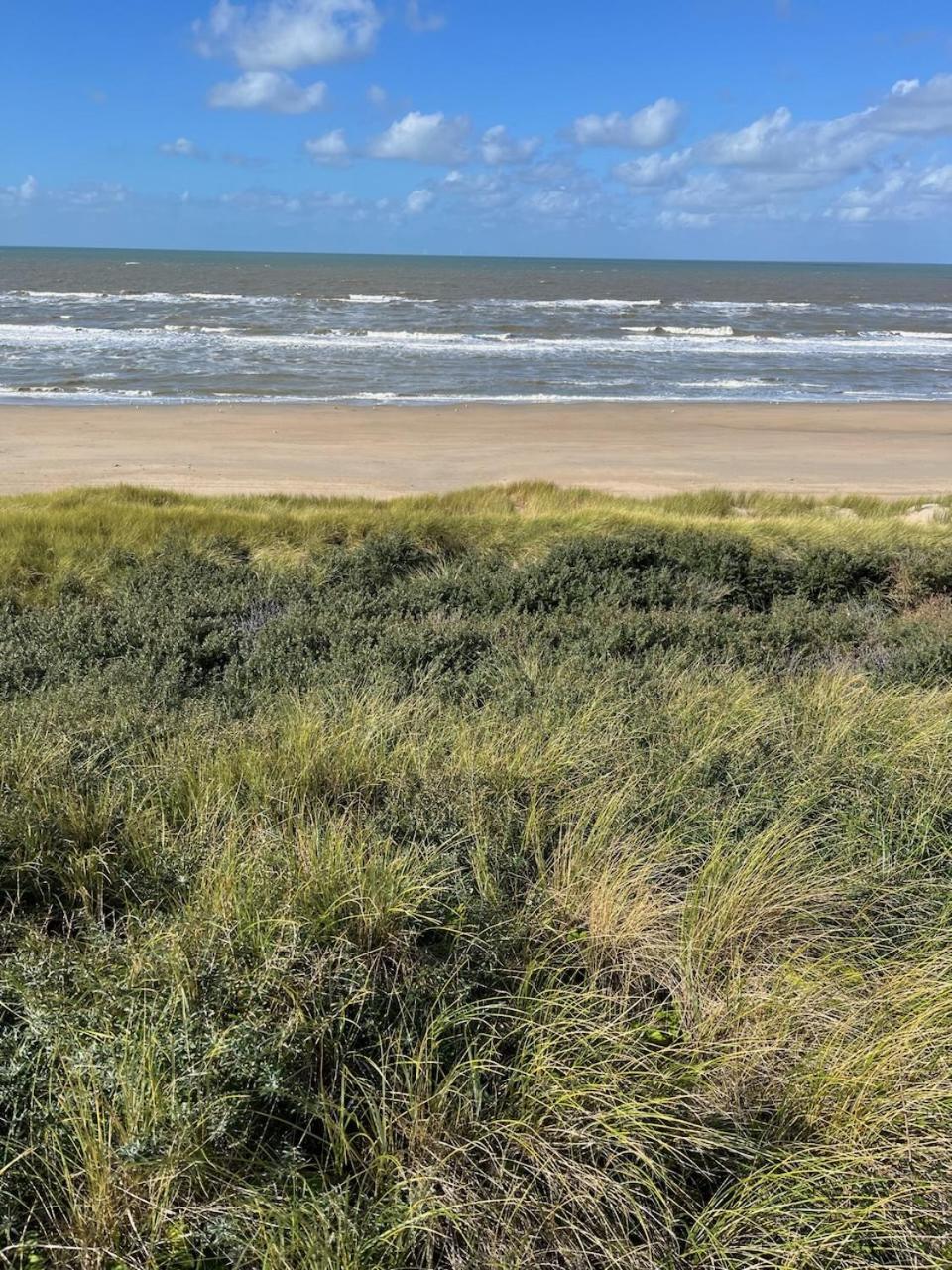 Studio34 Zandvoort Free Parking المظهر الخارجي الصورة